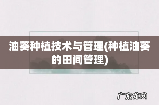 种植油葵的田间管理 油葵种植技术与管理