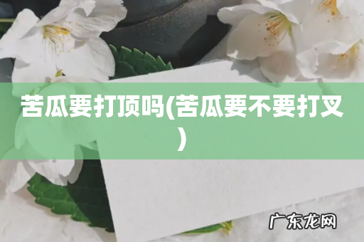 苦瓜要不要打叉 苦瓜要打顶吗