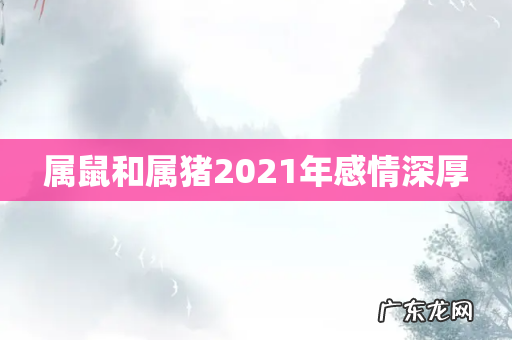 属鼠和属猪2021年感情深厚