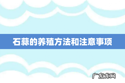 石蒜的养殖方法和注意事项