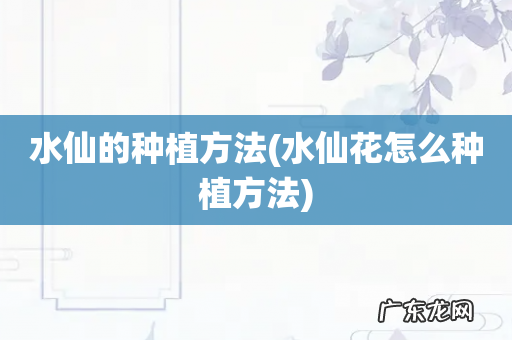 水仙花怎么种植方法 水仙的种植方法