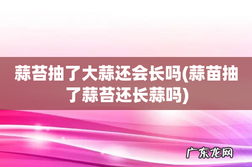 蒜苗抽了蒜苔还长蒜吗 蒜苔抽了大蒜还会长吗