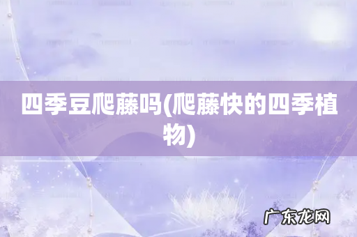 爬藤快的四季植物 四季豆爬藤吗