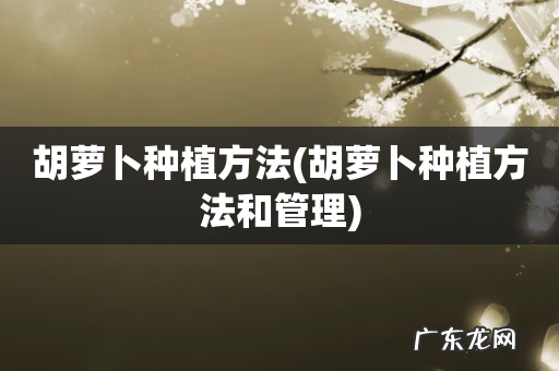 胡萝卜种植方法和管理 胡萝卜种植方法