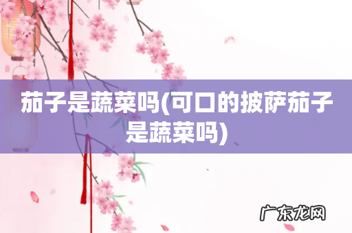 可口的披萨茄子是蔬菜吗 茄子是蔬菜吗