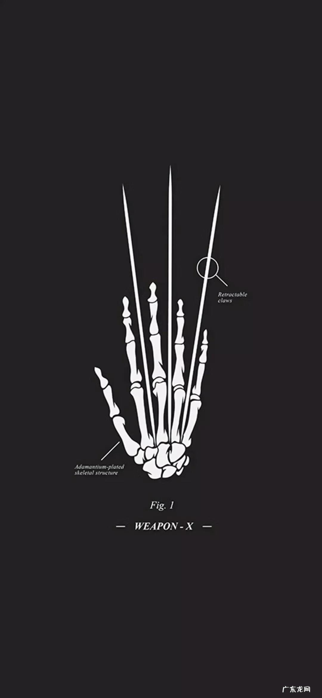 金刚狼3阿里云盘 金刚狼3下载 下载