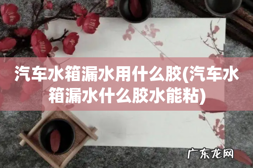 汽车水箱漏水什么胶水能粘 汽车水箱漏水用什么胶