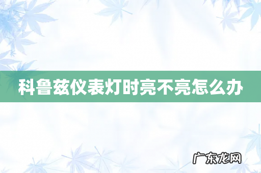 科鲁兹仪表灯时亮不亮怎么办