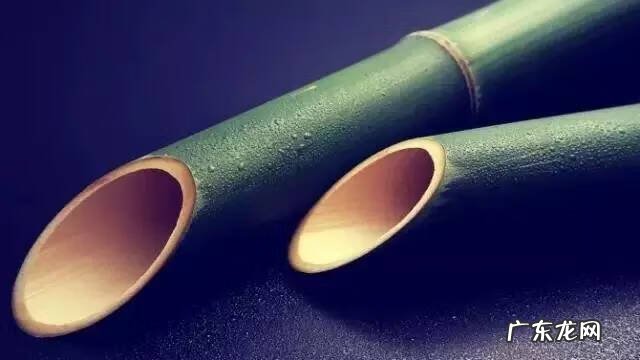 红尘风水大师简历 黄竹风水简历