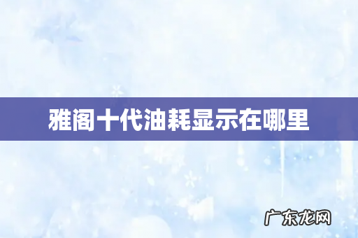 雅阁十代油耗显示在哪里