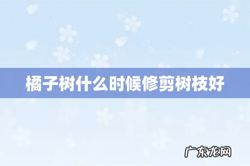 橘子树什么时候修剪树枝好