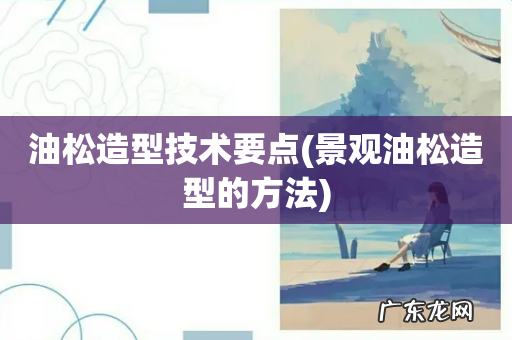 景观油松造型的方法 油松造型技术要点
