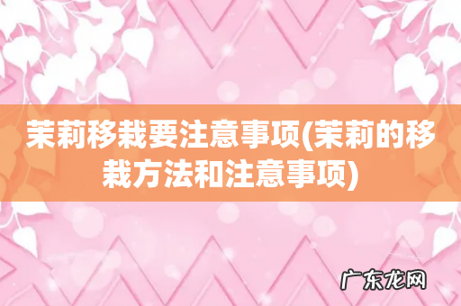 茉莉的移栽方法和注意事项 茉莉移栽要注意事项