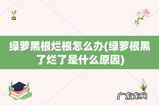 绿萝根黑了烂了是什么原因 绿萝黑根烂根怎么办