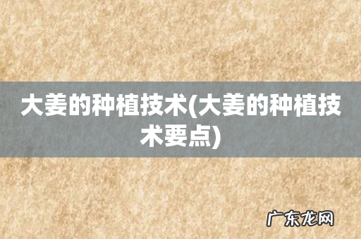 大姜的种植技术要点 大姜的种植技术