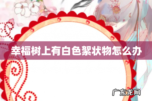 幸福树上有白色絮状物怎么办