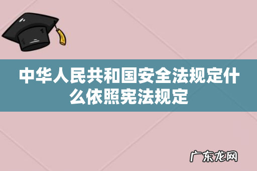 中华人民共和国安全法规定什么依照宪法规定