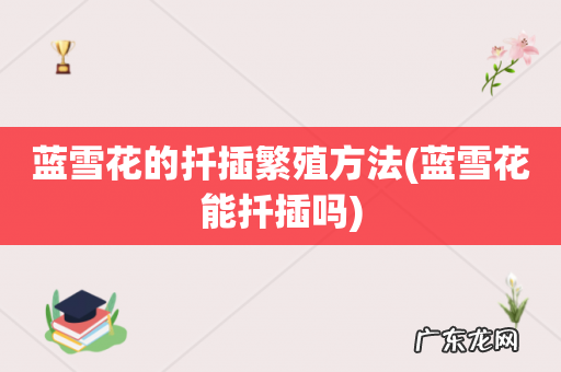 蓝雪花能扦插吗 蓝雪花的扦插繁殖方法