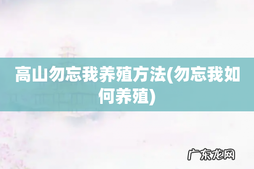 勿忘我如何养殖 高山勿忘我养殖方法