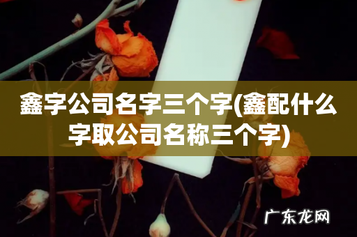 鑫配什么字取公司名称三个字 鑫字公司名字三个字