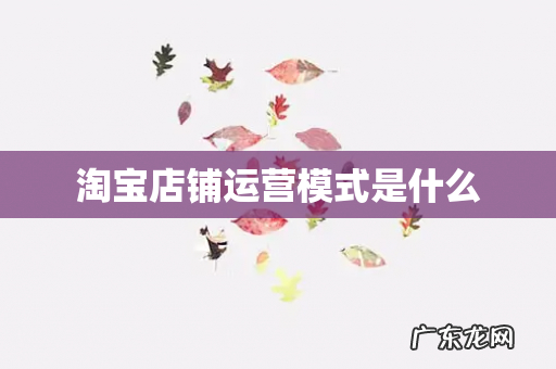淘宝店铺运营模式是什么