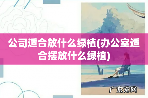 办公室适合摆放什么绿植 公司适合放什么绿植