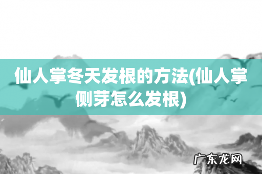 仙人掌侧芽怎么发根 仙人掌冬天发根的方法