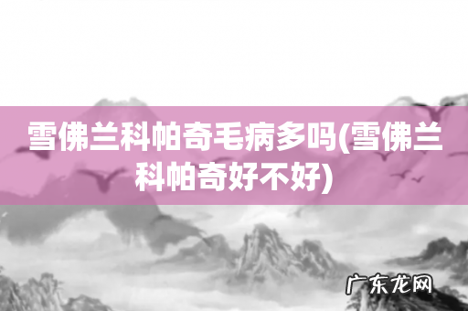 雪佛兰科帕奇好不好 雪佛兰科帕奇毛病多吗