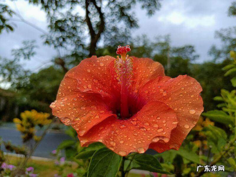 正规人力资源培训机构