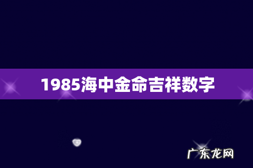1985海中金命吉祥数字