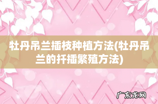牡丹吊兰的扦插繁殖方法 牡丹吊兰插枝种植方法