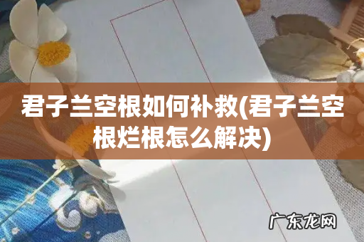 君子兰空根烂根怎么解决 君子兰空根如何补救