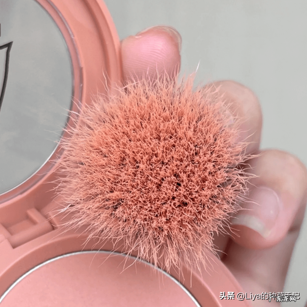 化妆步骤和技巧 新手化妆技巧有哪些