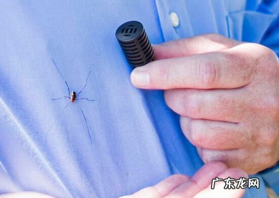 家里窗户外结蜘蛛网什么寓意 蜘蛛在车内结网