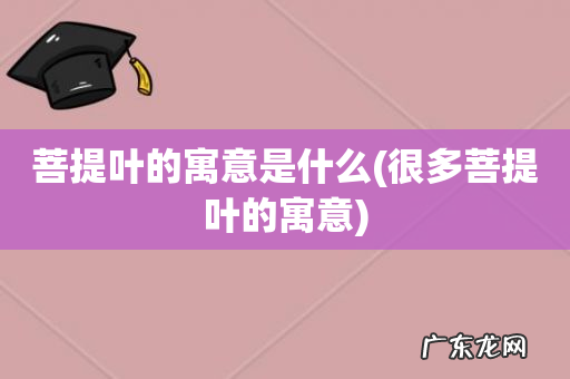 很多菩提叶的寓意 菩提叶的寓意是什么