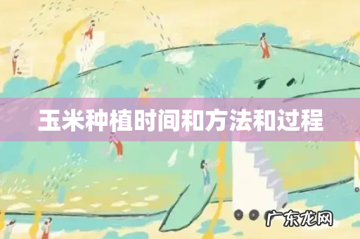 玉米种植时间和方法和过程