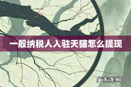 一般纳税人入驻天猫怎么提现