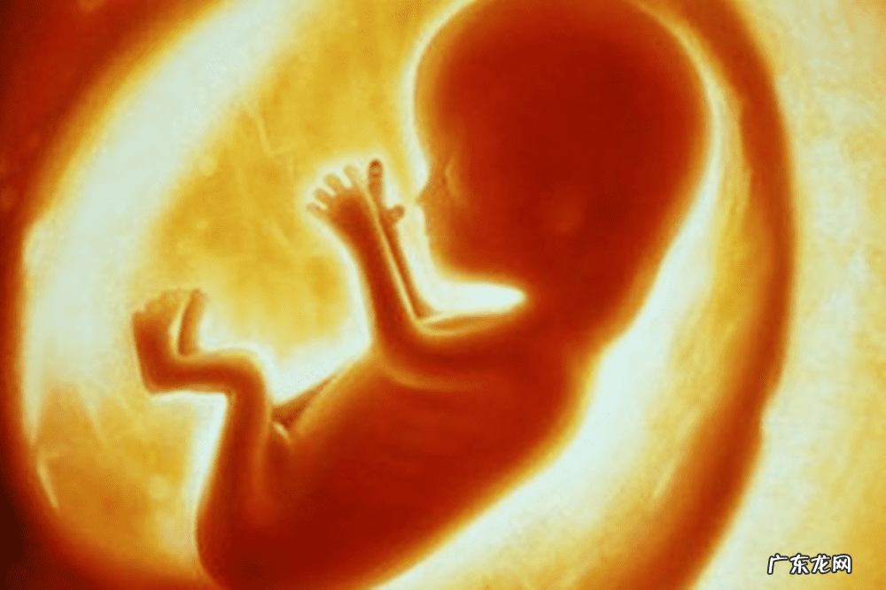 12岁女孩产子 孩子的孩子叫什么