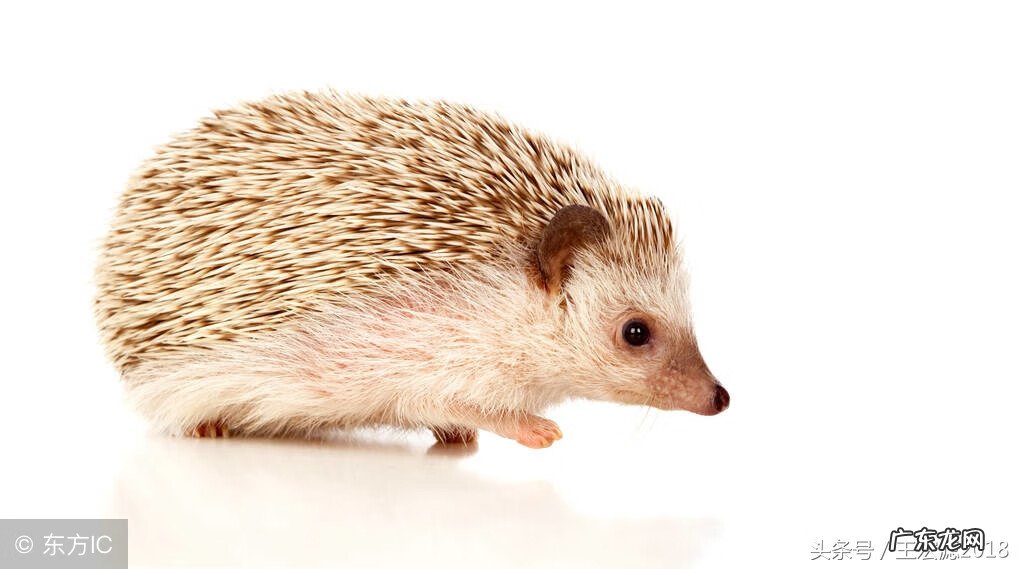 红布包东西有什么讲究 红布是什么材质的