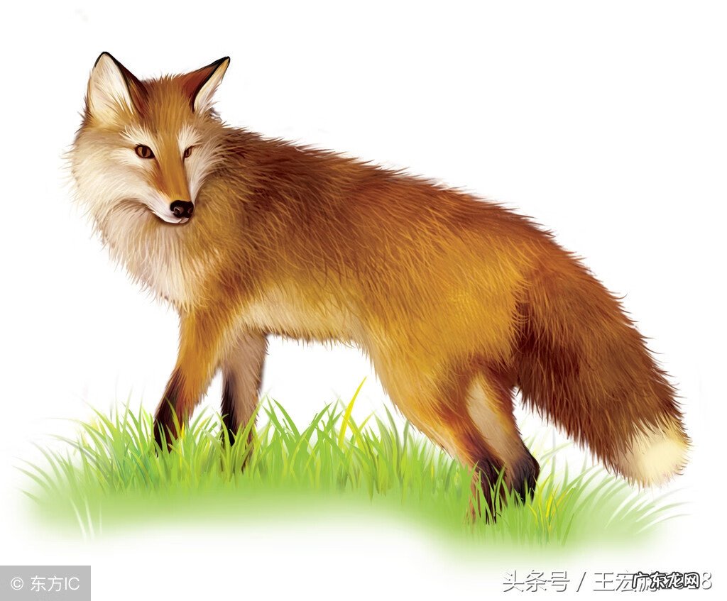 红布包东西有什么讲究 红布是什么材质的