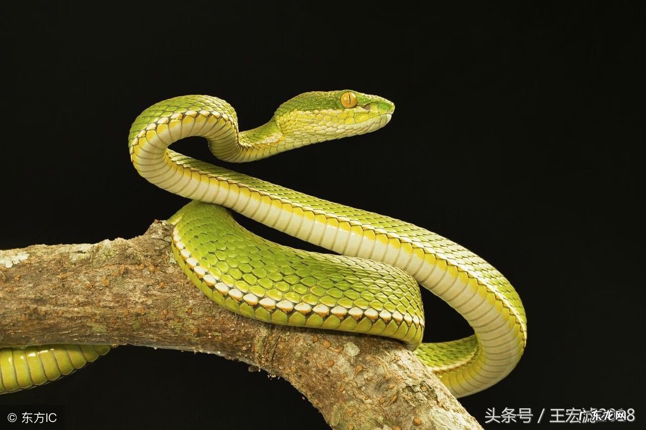 红布包东西有什么讲究 红布是什么材质的