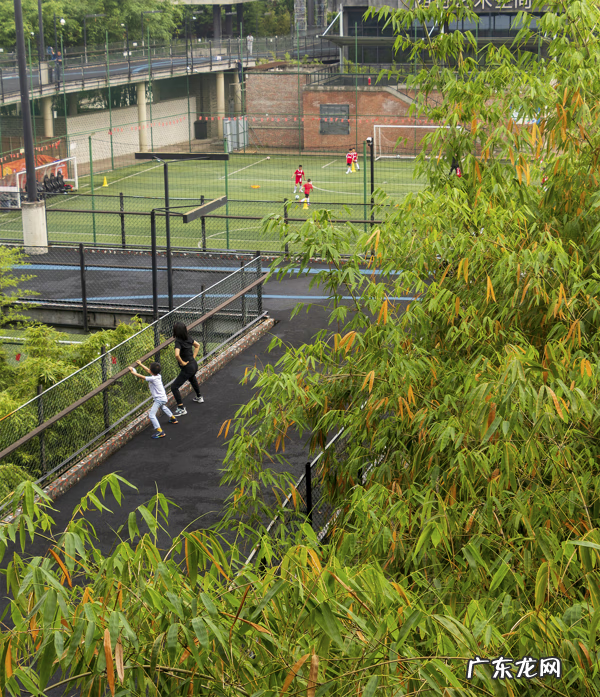 成都西村大院图片 成都西村大院属于什么街道