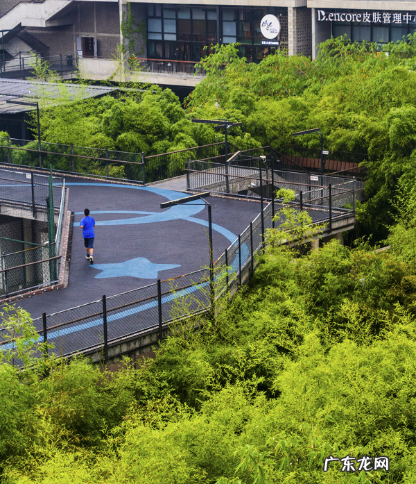 成都西村大院图片 成都西村大院属于什么街道