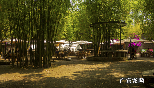 成都西村大院图片 成都西村大院属于什么街道