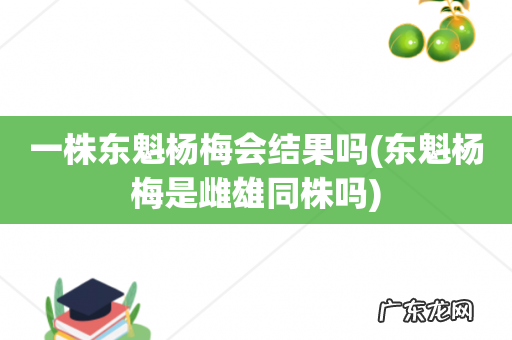 东魁杨梅是雌雄同株吗 一株东魁杨梅会结果吗