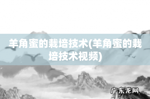 羊角蜜的栽培技术视频 羊角蜜的栽培技术