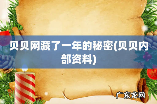 贝贝内部资料 贝贝网藏了一年的秘密