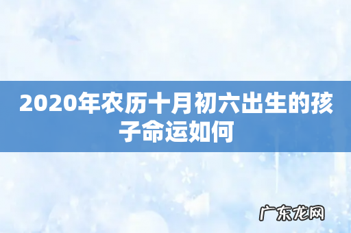 2020年农历十月初六出生的孩子命运如何