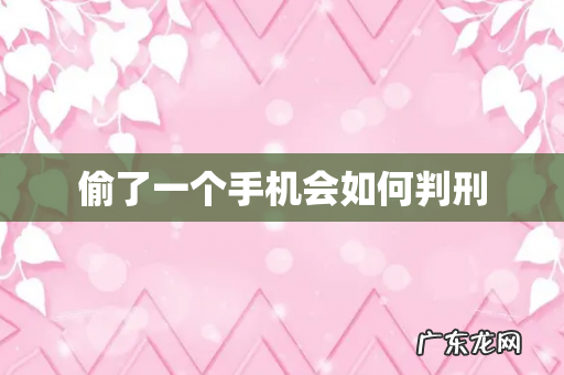 偷了一个手机会如何判刑