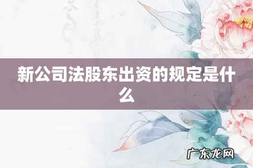 新公司法股东出资的规定是什么